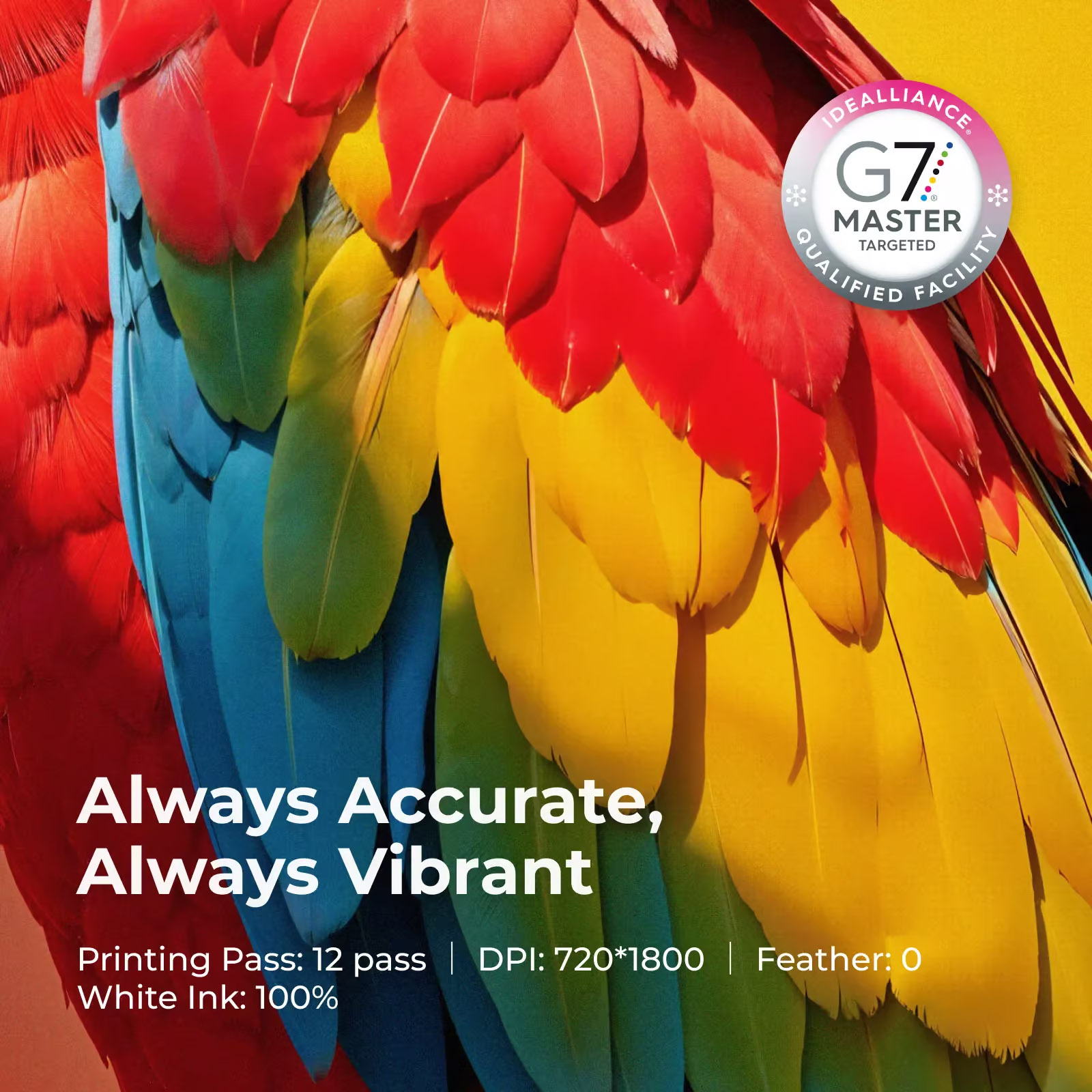 XTOOL DTF-ALL - Imagen 4